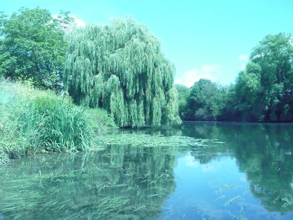 本尼科特勒阿弗尔德酒店 Bennecourt 外观 照片